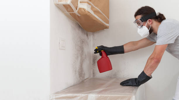 Professional Black Mold Remediation technician working in Ho-Ho-Kus, NJ