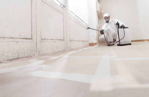 24/7 Emergency Black Mold Remediation experts in Ho-Ho-Kus, NJ