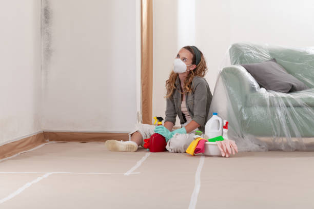 Reliable Black Mold Remediation contractor in Ho-Ho-Kus, NJ by 24 Hour Mold Removal